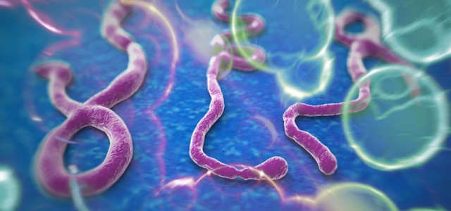 Vad kristna bör veta om ebolakrisen