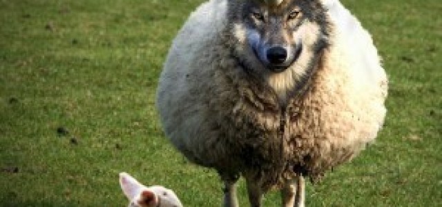 7 drag hos falska lärare