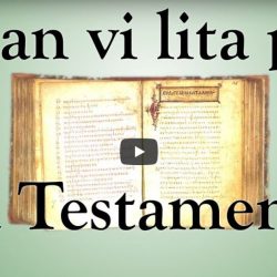 Kan vi lita på Nya Testamentet? (video från Logia)