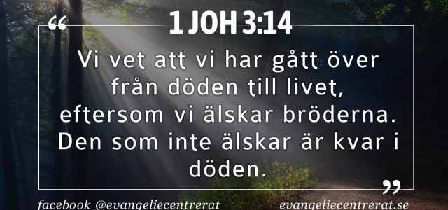 Första Johannesbrevet 3:14