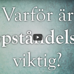 Varför är Jesu uppståndelse viktig? (video från Logia)