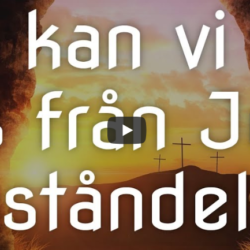 Vad kan vi lära oss från Jesu uppståndelse? (Logia)